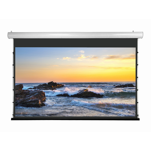Manual Projection Screen